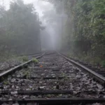 Cultive Seu Equilíbrio Interior em Meio ao Caos